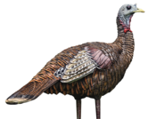 Avian X LCD Lookout Hen Turkey Decoy